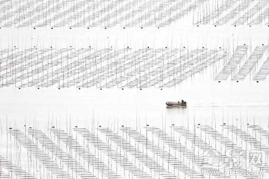 2016年ippa摄影大赛获奖作品 ipa国际摄影奖单项冠军