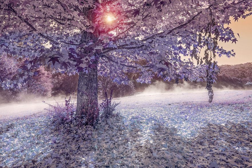 人像摄影作品的美感 摄影人像和风景