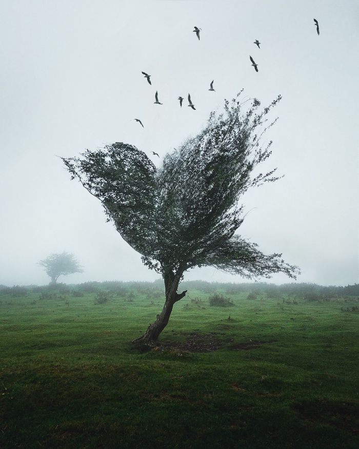 让情感在诗意中迸发什么意思 情感让生活充满诗意作文