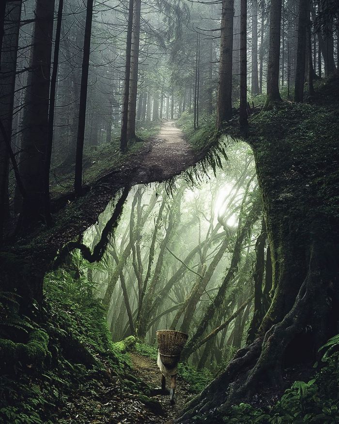 让情感在诗意中迸发什么意思 情感让生活充满诗意作文