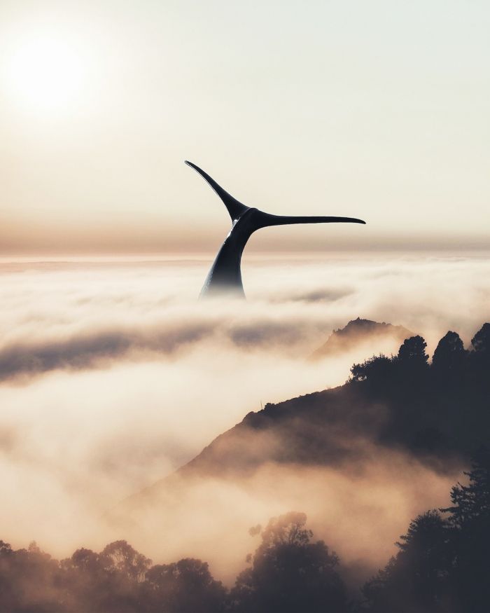 让情感在诗意中迸发什么意思 情感让生活充满诗意作文