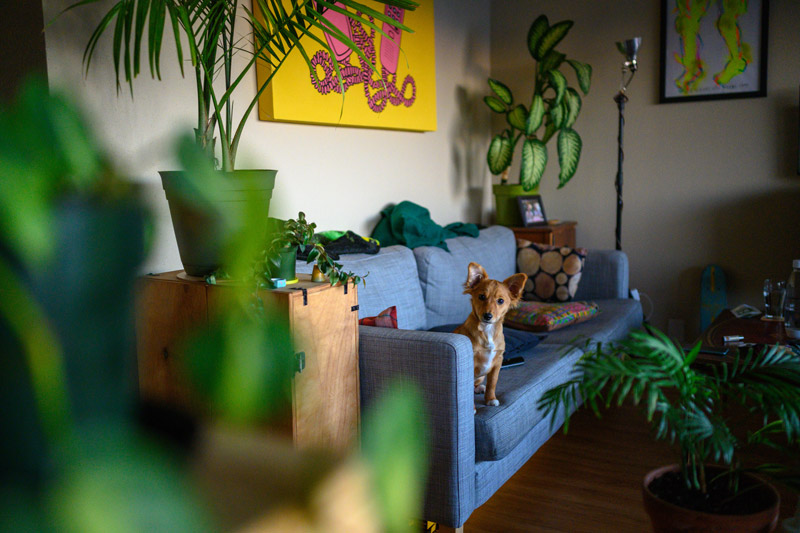 尼康 z7 评测 尼康z7使用感受图2