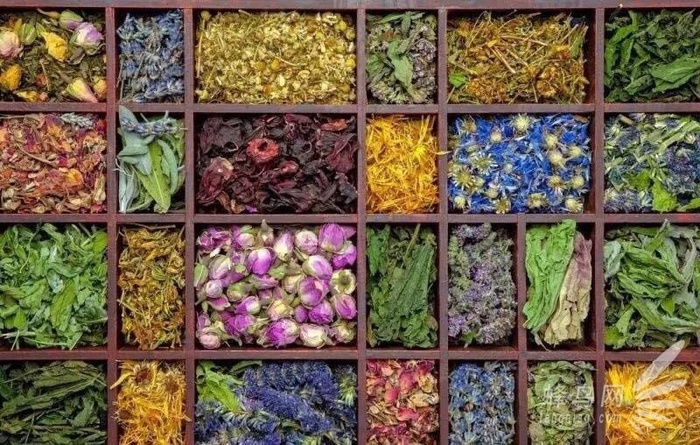 摄影要领 摄影有什么技巧吗图1