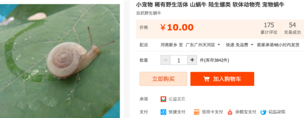 摄影技巧 足不出户也能轻松拍出微距大片吗 微距怎么拍好看