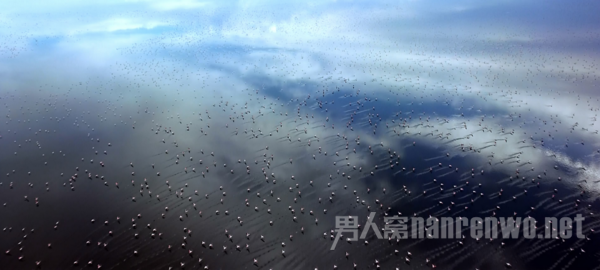 学摄影看的电影 电影摄影的技巧有哪些图3