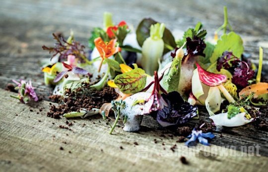 美食照如何拍才能令人垂涎三尺呢 美食照片如何拍摄技巧