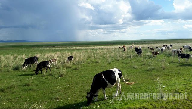 摄影的7个小技巧 怎样拍出广阔壮美的天际线视频 摄影天际线怎样处理