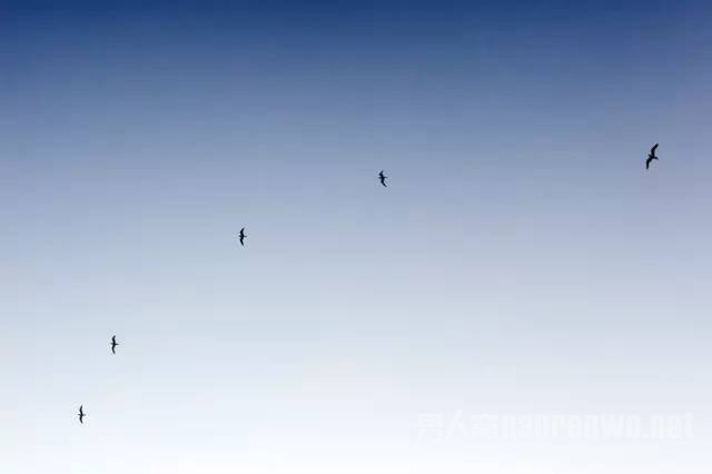 身边看惯了的风景 怎样拍出不一样的感觉呢 不妨看看身边的风景