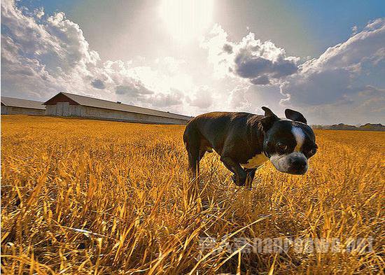 10个摄影小技巧 新手也能玩转广角镜头吗 广角镜头拍摄技巧图3