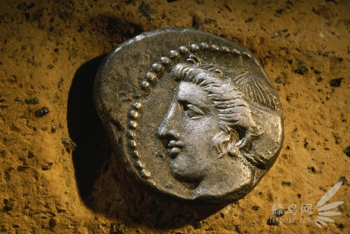 放大的世界真奇妙 微距摄影全靠这些技巧了 微距是放大多少倍图2