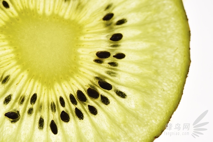 放大的世界真奇妙 微距摄影全靠这些技巧了 微距是放大多少倍图3