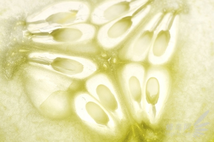 放大的世界真奇妙 微距摄影全靠这些技巧了 微距是放大多少倍