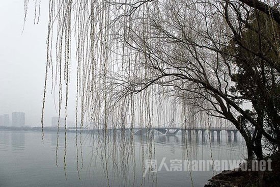 雨雾天气拍摄技巧 雨天拍雾参数怎么设置图3