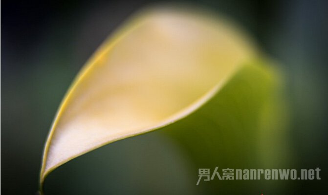 怎么拍出深沉的照片 如何拍出景深大的照片