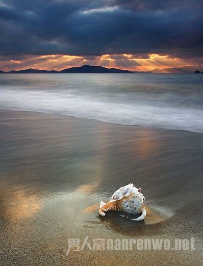 再看前面那幅画 再看这是什么