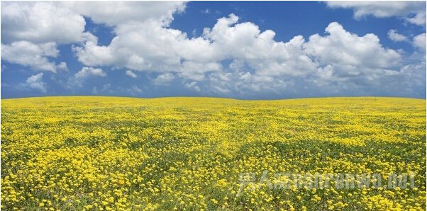 再看前面那幅画 再看这是什么图2