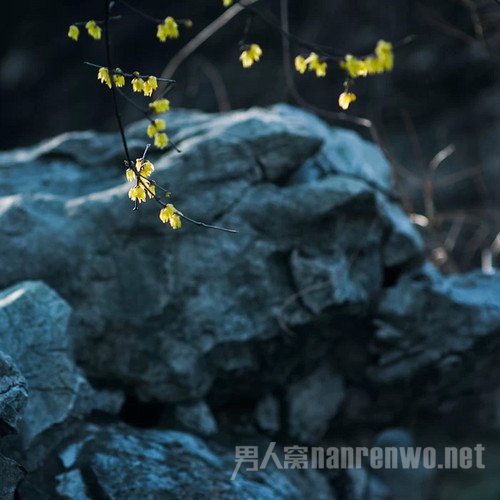浅析你如何对摄影照片进行后期处理 摄影后期处理的作用是什么图2