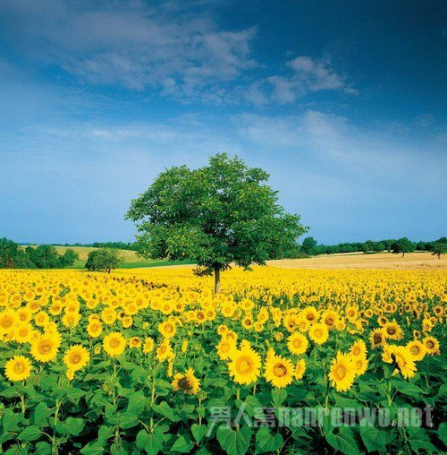 利用光线提高照片艺术感 简单摄影技巧是什么 光线效果图2