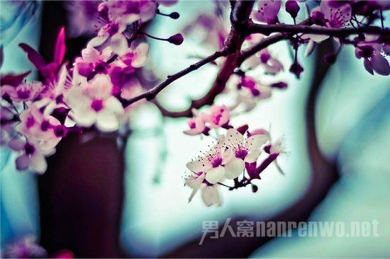 摄影怎么拍出效果好的图片 摄影作品怎么拍的有感觉