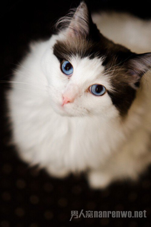 如何提升自己的摄影水平 怎么提升自己的摄影技术