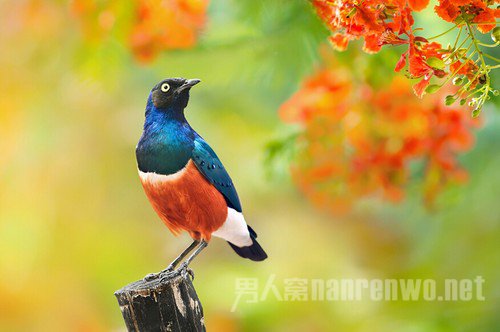 如何提升自己的摄影水平 怎么提升自己的摄影技术