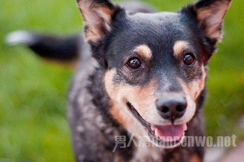 摄影构图入门与提高 摄影构图问题常见问题