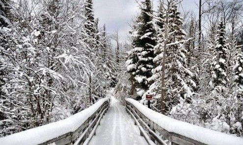 美丽雪景拍摄技巧全知道视频 雪景如何拍摄才有创意图3