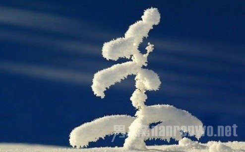 美丽雪景拍摄技巧全知道视频 雪景如何拍摄才有创意