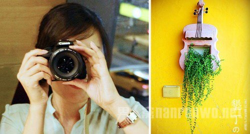 摄影入门镜头怎么选 新手入门镜头的选择图1