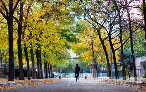 摄影入门镜头怎么选 新手入门镜头的选择