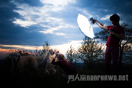 汪星人宠物服务 汪星人宠物医院