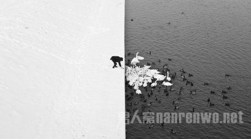 摄影不在于器材 学会讲故事才能拍出好照片吗 摄影照片讲一个故事
