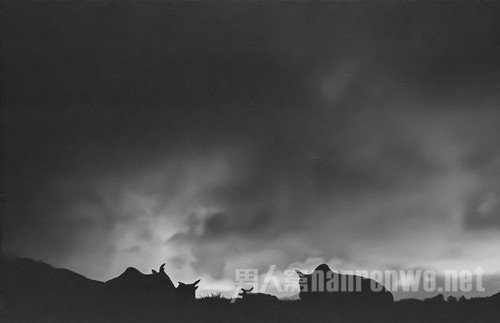 拍摄天气不好怎么办 天气摄影作品图3