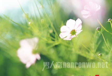 背景虚化如何拍摄 背景虚化用什么软件拍图1