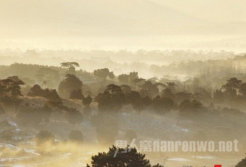 背景虚化如何拍摄 背景虚化用什么软件拍