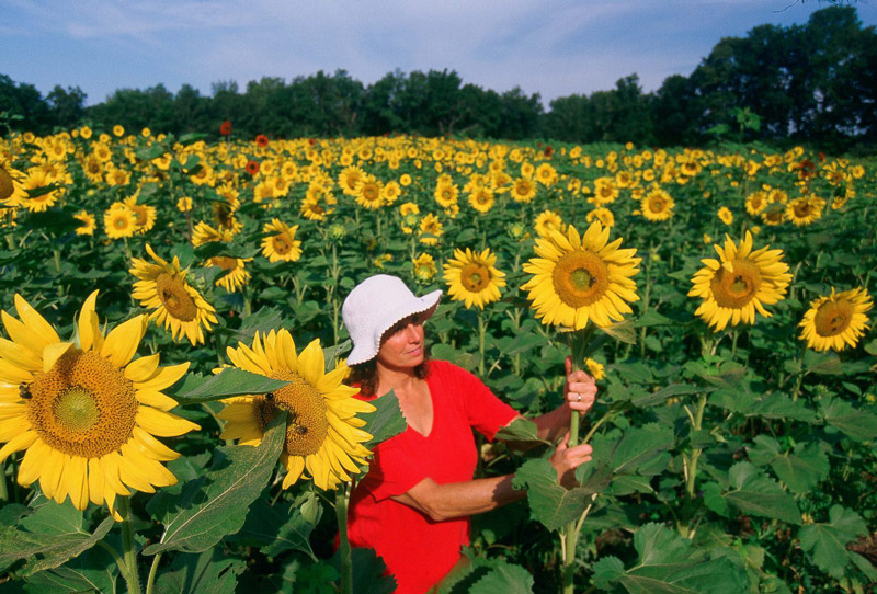 柯达e100胶卷 柯达复产e100