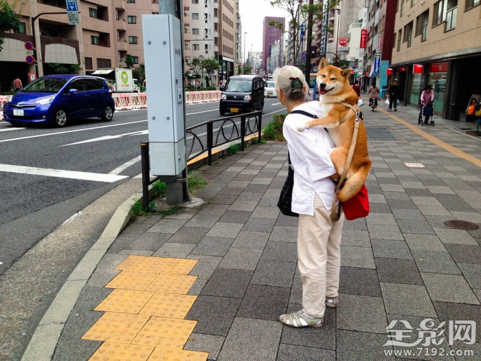 日本街头遇到的搞怪奇葩瞬间视频 日本街头搞笑视频