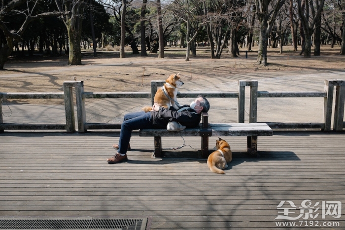 寂寞的东京街头小说 寂寞东京塔经典语录