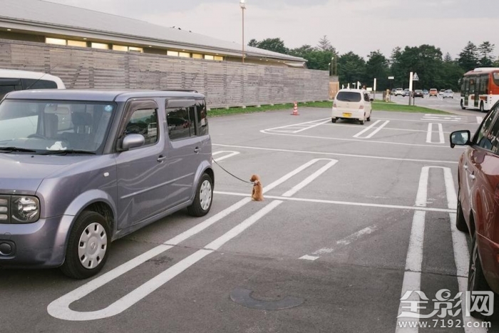 寂寞的东京街头小说 寂寞东京塔经典语录