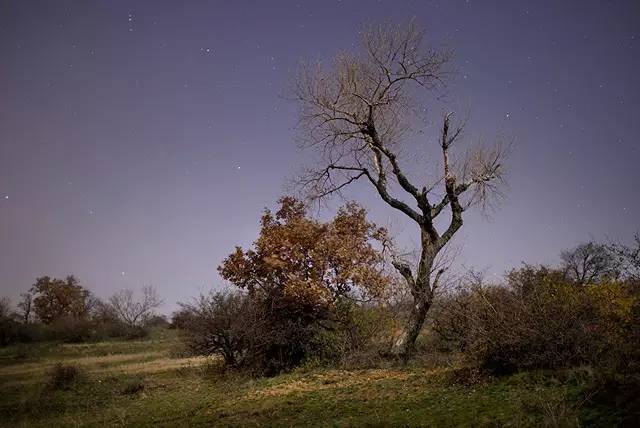 恍若隔世的意思 恍若隔世 此去经年什么意思