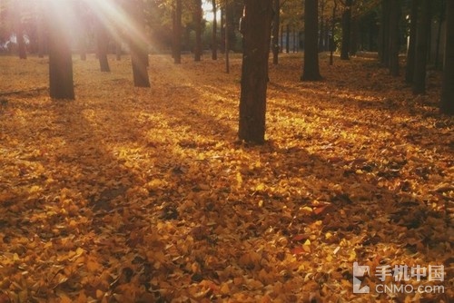 故都的秋拍摄脚本 故都的秋在取景上有什么特点