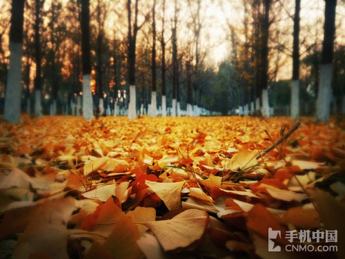 故都的秋拍摄脚本 故都的秋在取景上有什么特点图2