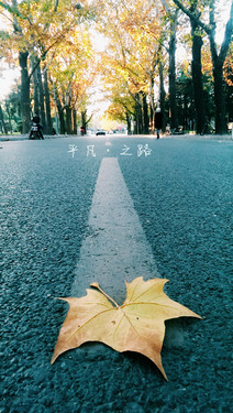 故都的秋拍摄脚本 故都的秋在取景上有什么特点