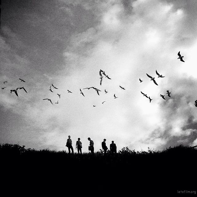 黑白摄影和彩色摄影的区别 彩色摄影和黑白摄影都适用的滤镜图3