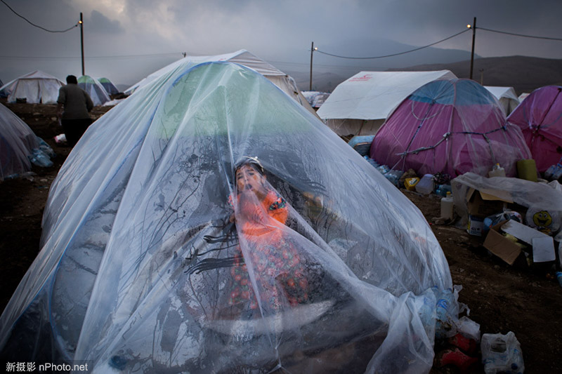 国际新闻摄影比赛 世界新闻摄影大赛获奖作品