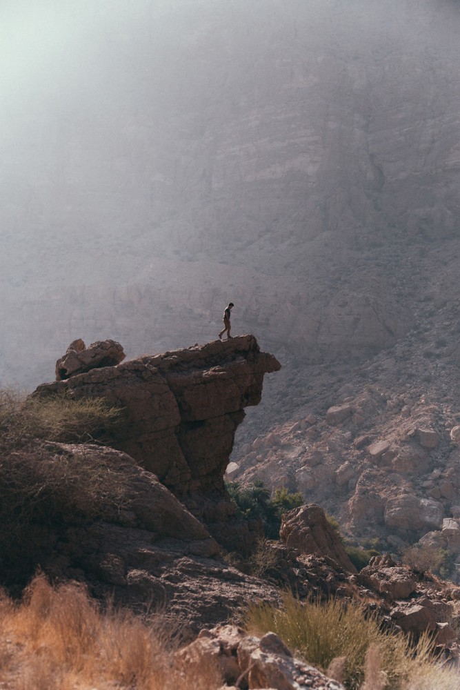 阿曼-荒野之美在线观看 阿勃荒野