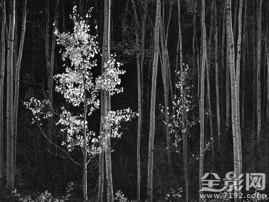 摄影-在不凡中发现平凡的世界 摄影 平凡