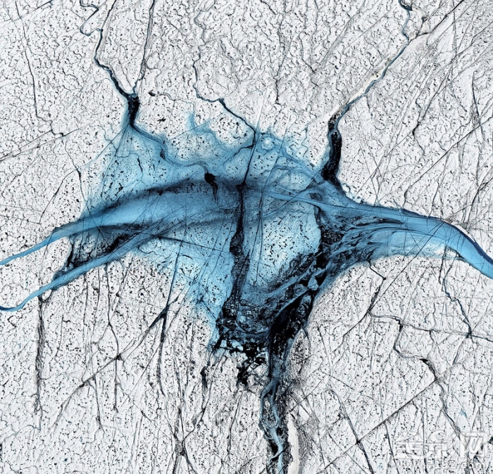 北极冰川消融 北极冰尸图3