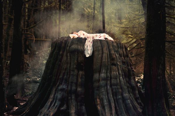 一个人到世界的尽头歌词 一个人到世界尽头语录