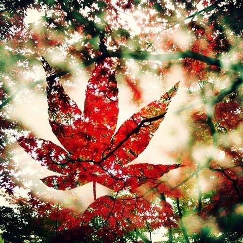 正方形 照片 正方型图型怎么画呢